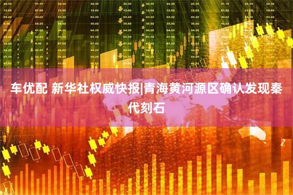 车优配 新华社权威快报|青海黄河源区确认发现秦代刻石