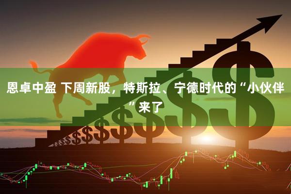 恩卓中盈 下周新股，特斯拉、宁德时代的“小伙伴”来了