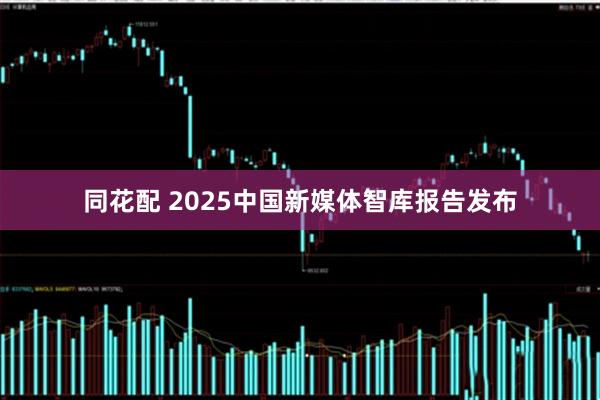 同花配 2025中国新媒体智库报告发布