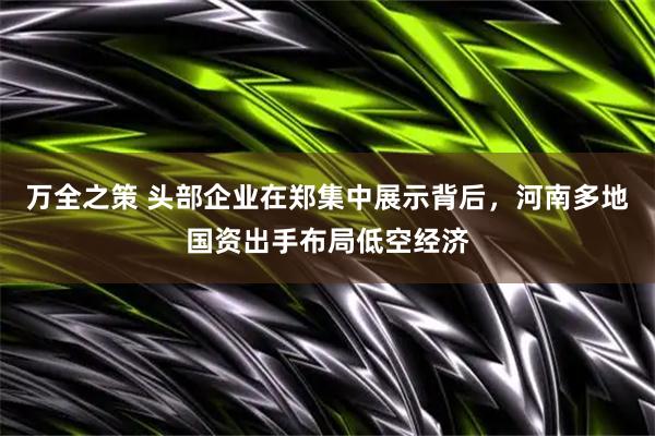 万全之策 头部企业在郑集中展示背后，河南多地国资出手布局低空经济