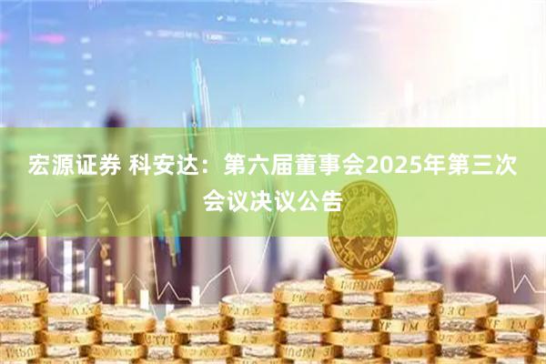 宏源证券 科安达：第六届董事会2025年第三次会议决议公告