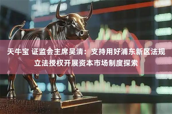 天牛宝 证监会主席吴清：支持用好浦东新区法规立法授权开展资本市场制度探索