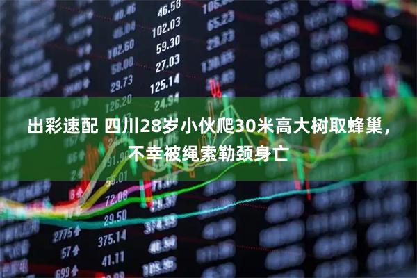 出彩速配 四川28岁小伙爬30米高大树取蜂巢，不幸被绳索勒颈身亡