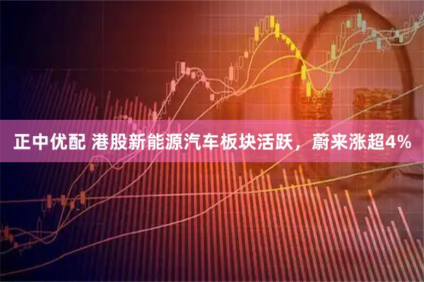 正中优配 港股新能源汽车板块活跃，蔚来涨超4%