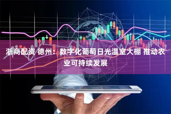 浙商配资 德州：数字化葡萄日光温室大棚 推动农业可持续发展