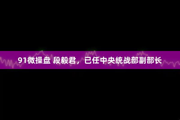 91微操盘 段毅君，已任中央统战部副部长