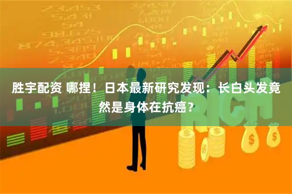 胜宇配资 哪捏！日本最新研究发现：长白头发竟然是身体在抗癌？