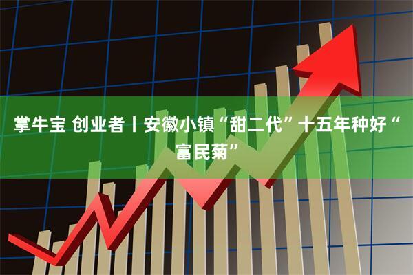 掌牛宝 创业者丨安徽小镇“甜二代”十五年种好“富民菊”