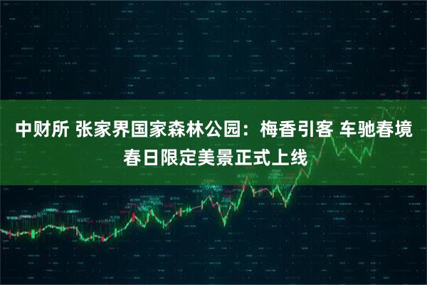 中财所 张家界国家森林公园：梅香引客 车驰春境 春日限定美景正式上线