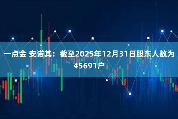 一点金 安诺其：截至2025年12月31日股东人数为45691户