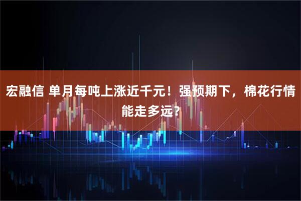宏融信 单月每吨上涨近千元！强预期下，棉花行情能走多远？