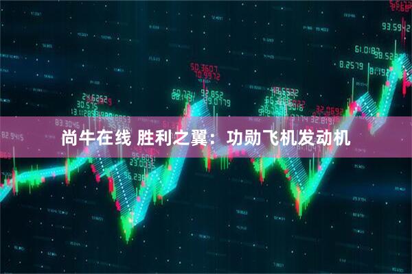 尚牛在线 胜利之翼：功勋飞机发动机
