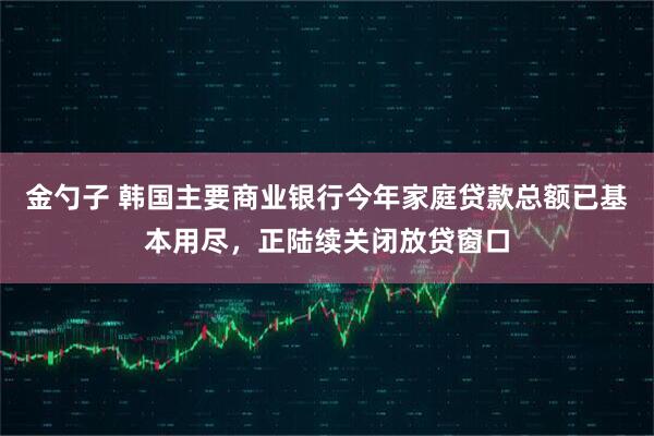 金勺子 韩国主要商业银行今年家庭贷款总额已基本用尽，正陆续关闭放贷窗口