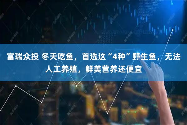 富瑞众投 冬天吃鱼，首选这“4种”野生鱼，无法人工养殖，鲜美营养还便宜