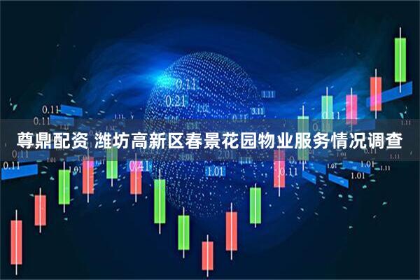 尊鼎配资 潍坊高新区春景花园物业服务情况调查